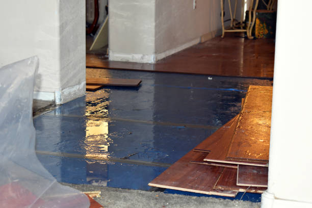 Professional Flood Damage Restoration technician working in London, OH